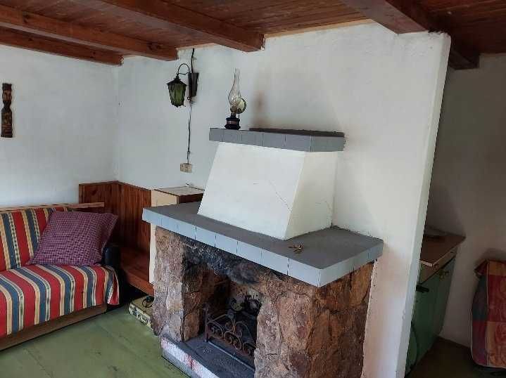 Działka rod Strzelce Opolskie. Zdjęcie 3