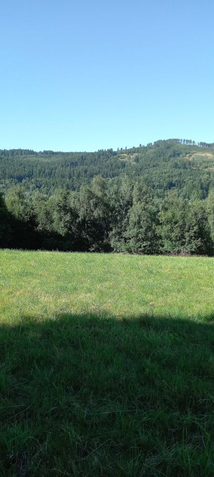 Działka rolna Walim. Zdjęcie 4