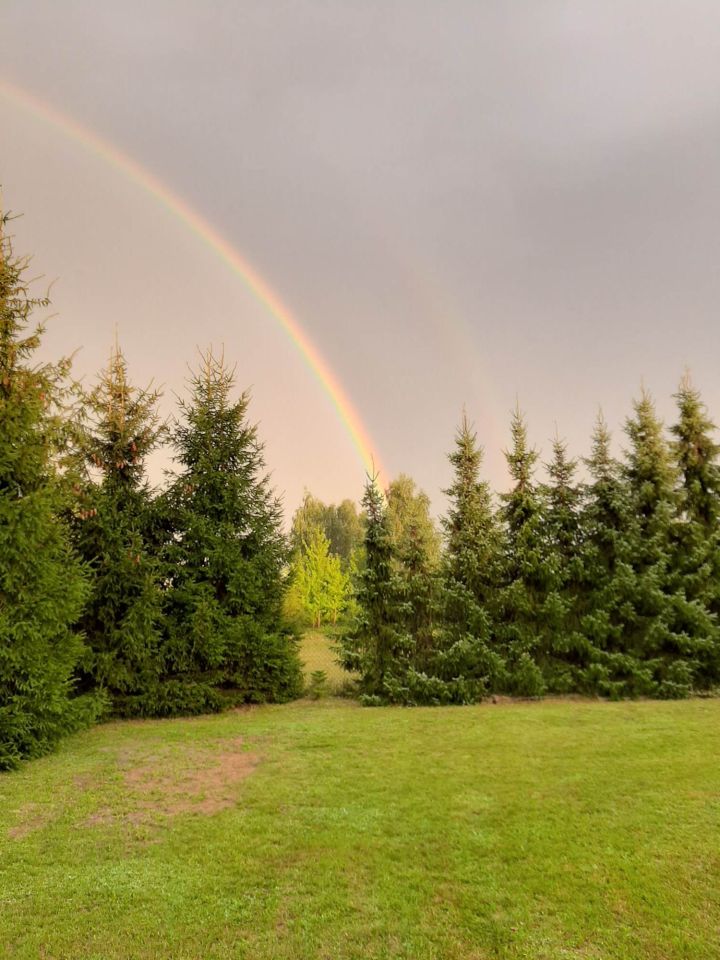 Działka rolno-budowlana Bolimowska Wieś. Zdjęcie 13
