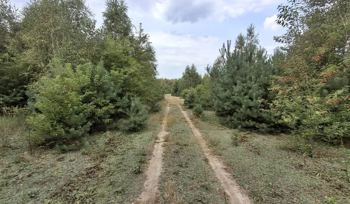 Działka rolna Nowa Wieś
