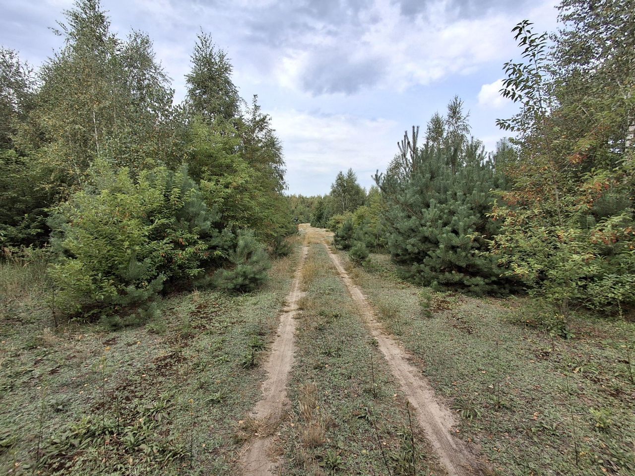 Działka rolna Nowa Wieś. Zdjęcie 1