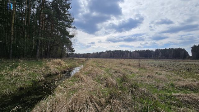 dom wolnostojący, 2 pokoje Dęba. Zdjęcie 14