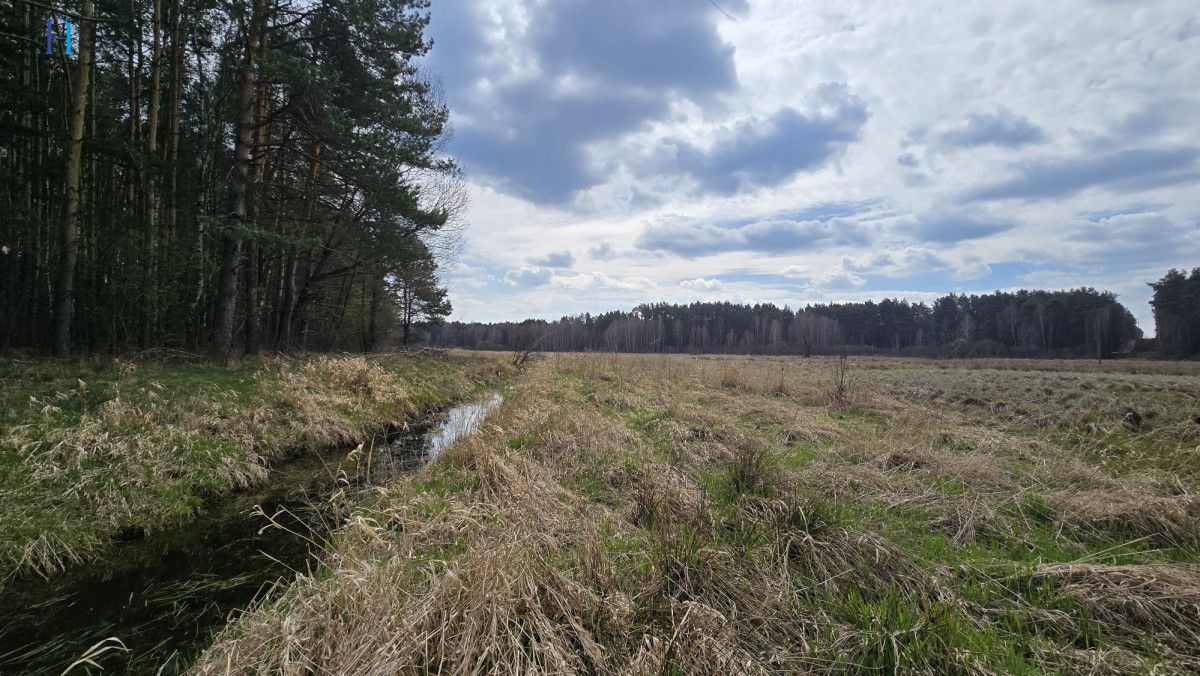dom wolnostojący, 2 pokoje Dęba. Zdjęcie 14