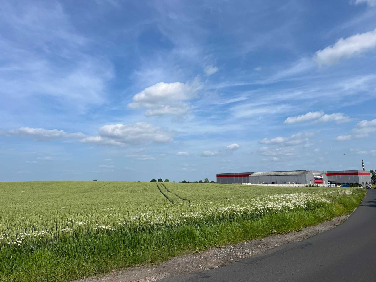 Działka inwestycyjna Gniezno, ul. Pałucka. Zdjęcie 5