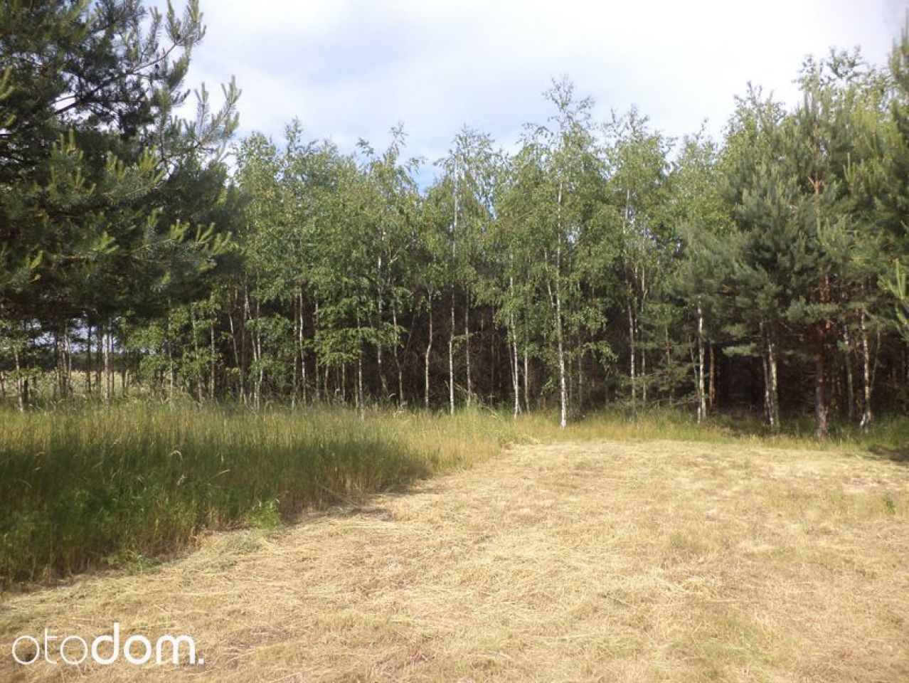 Działka siedliskowa Rędziny. Zdjęcie 11