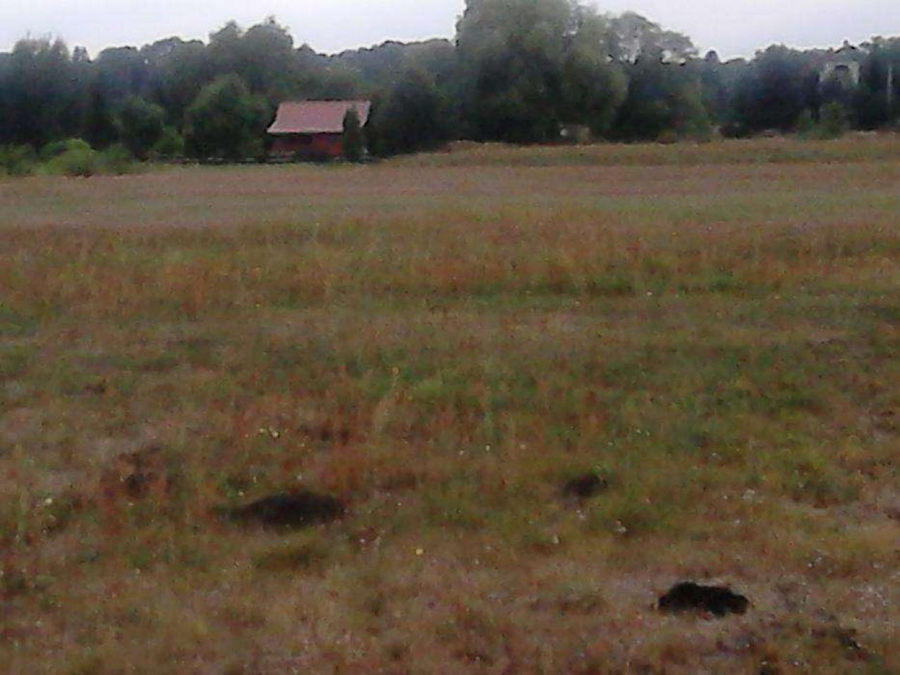 Działka rolna Strzyże. Zdjęcie 5