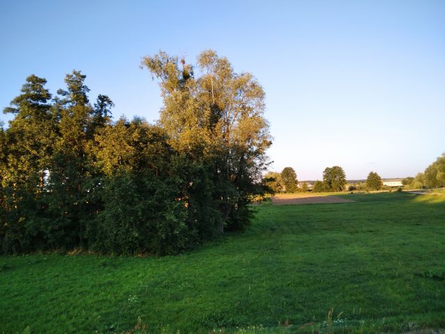 Działka rolna Kobylnica. Zdjęcie 1