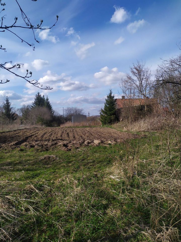 siedlisko Krzywińskie. Zdjęcie 6