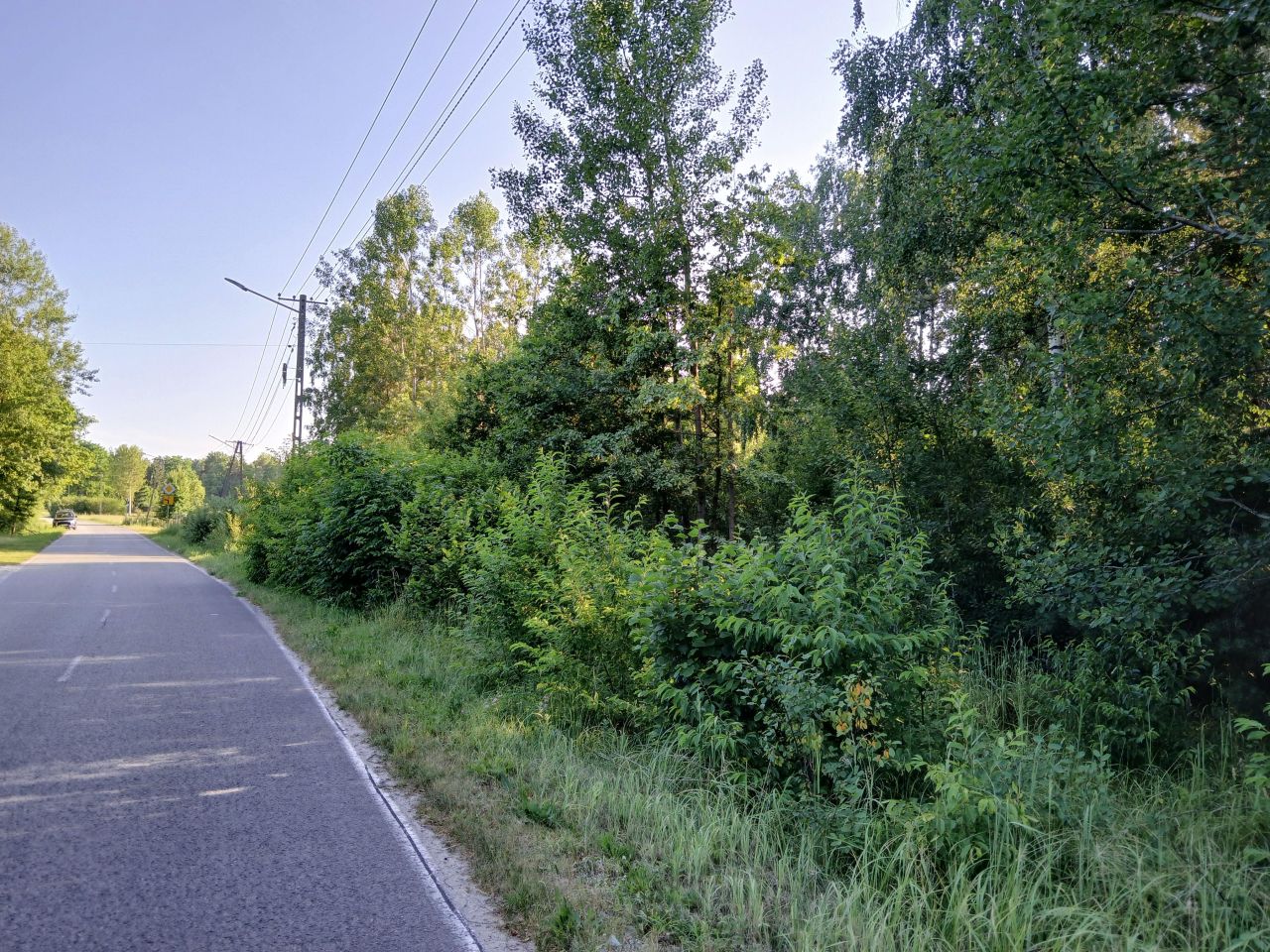 Działka rolno-budowlana Szczerców. Zdjęcie 5