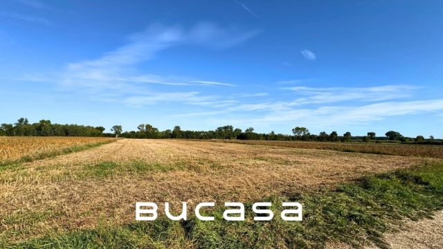 Działka rolna Wola Przemykowska. Zdjęcie 4