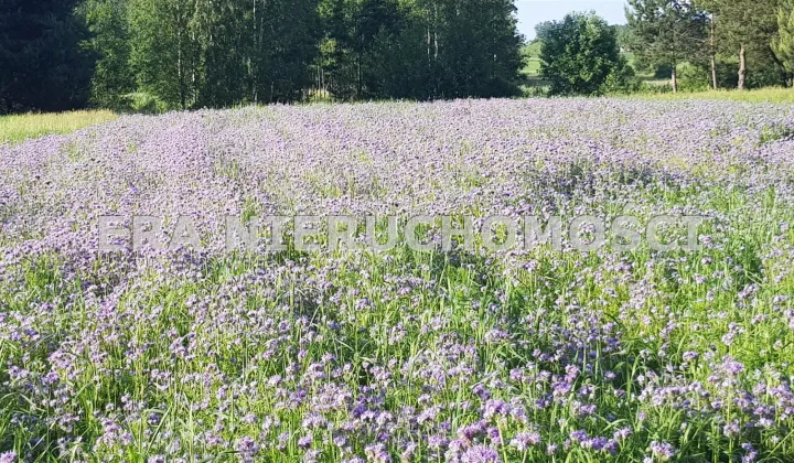 Działka budowlana Porosły