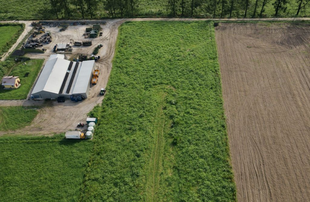 Działka budowlana Daleszewo, ul. Kwiatowa. Zdjęcie 4