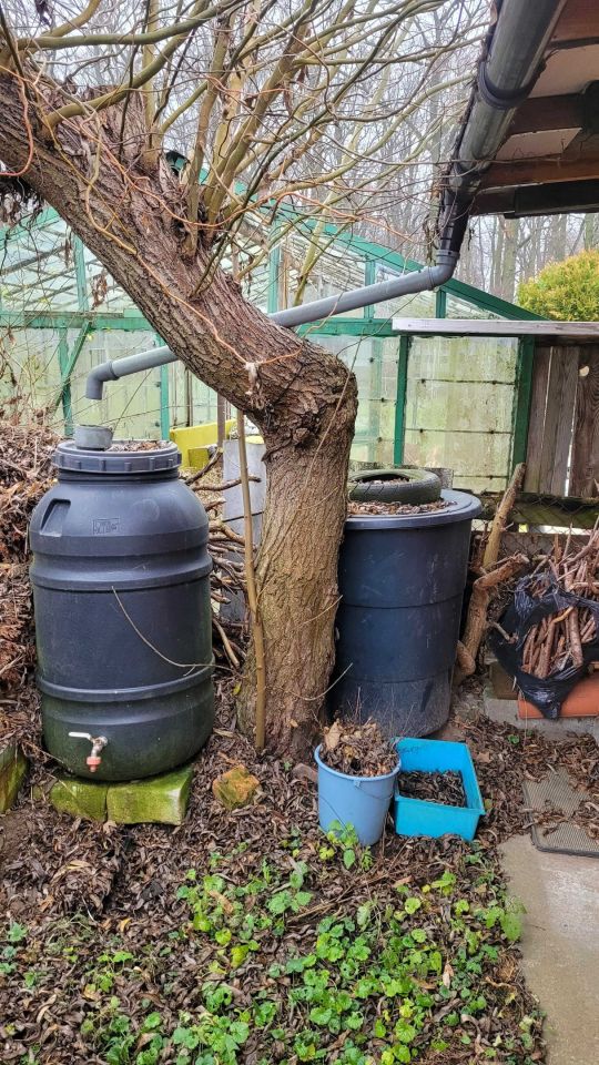 Działka rod Chełmno. Zdjęcie 4