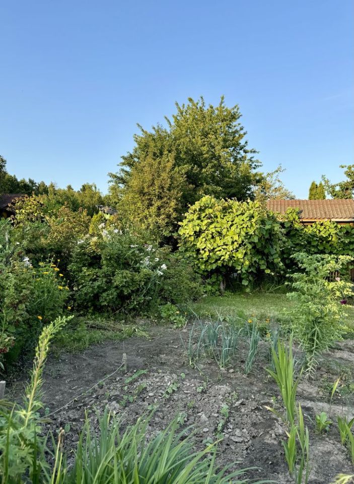 Działka rod Starachowice, ul. Leśna. Zdjęcie 4