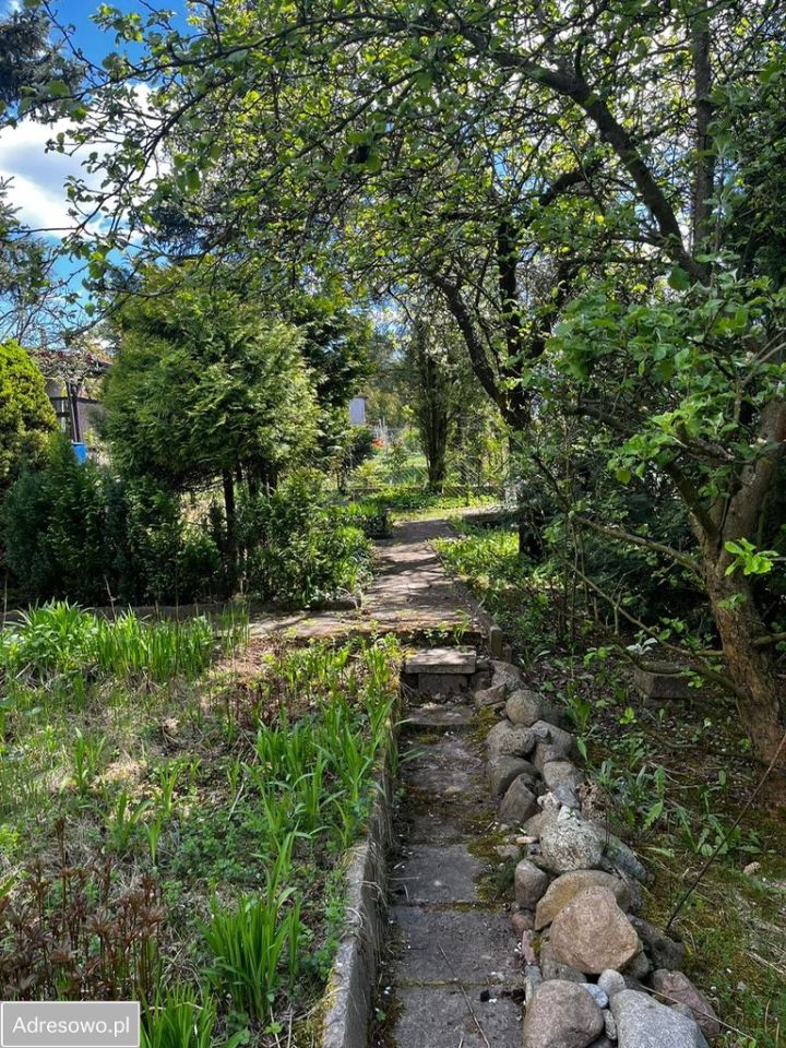 Działka rod Suchy Las. Zdjęcie 6