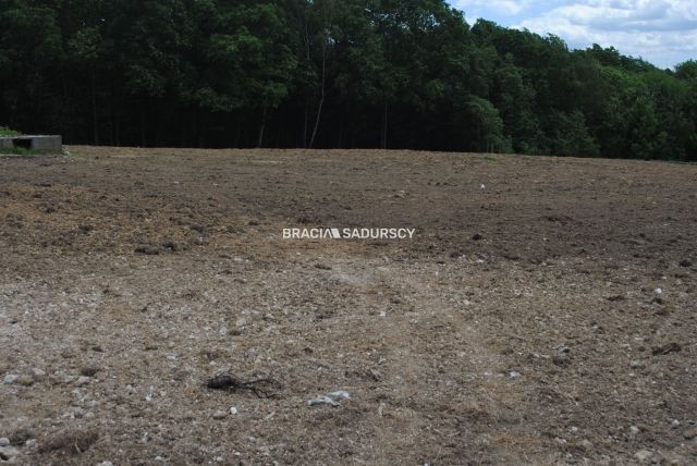 Działka rolno-budowlana Jankówka. Zdjęcie 7