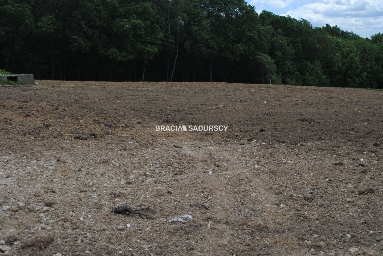 Działka rolno-budowlana Jankówka. Zdjęcie 7