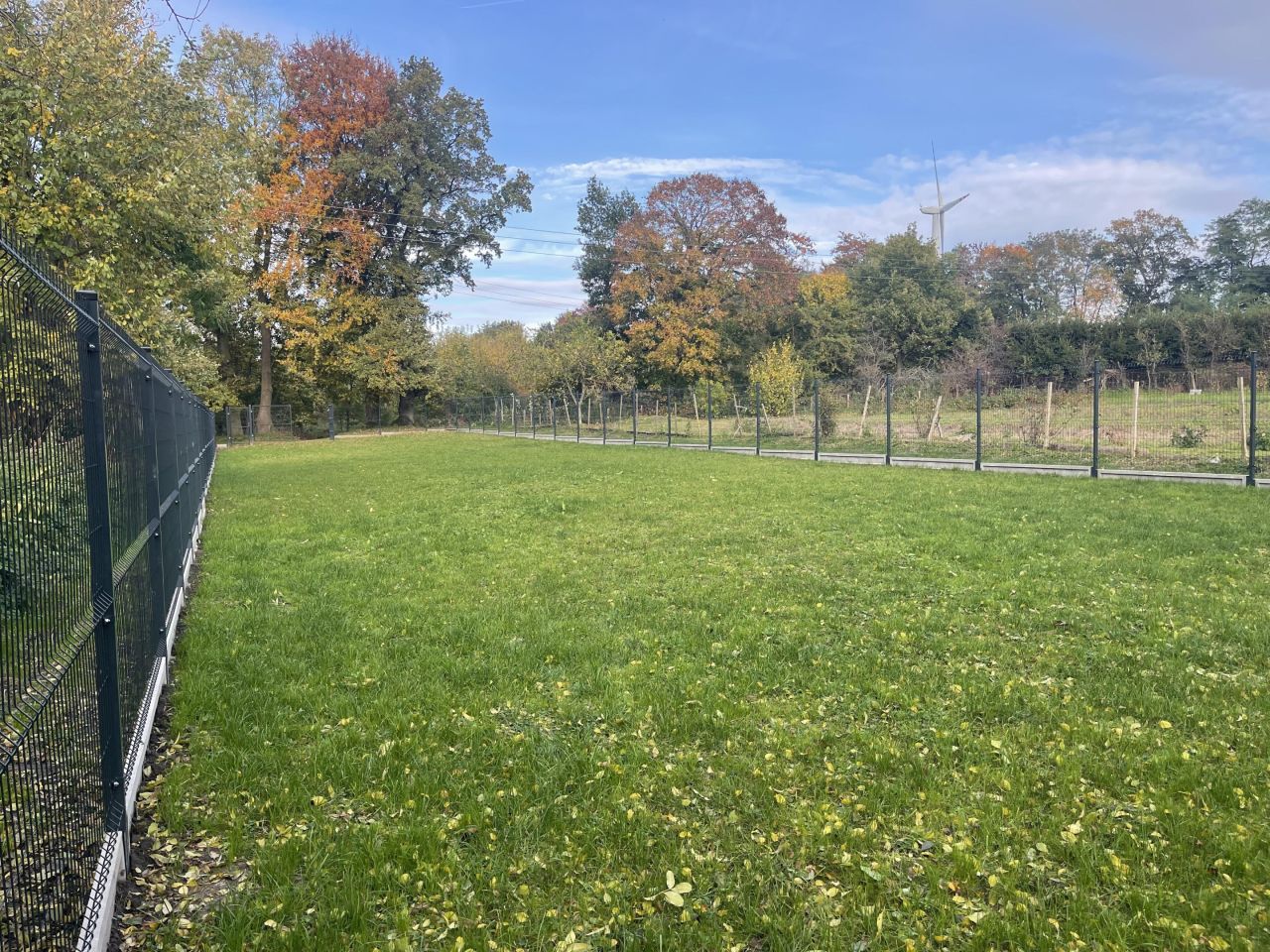 Działka rekreacyjna Mołtowo. Zdjęcie 8