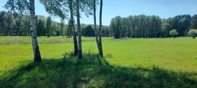 Działka siedliskowa Żydowo. Zdjęcie 1