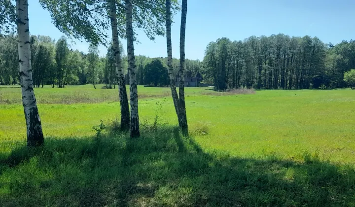 Działka siedliskowa Żydowo