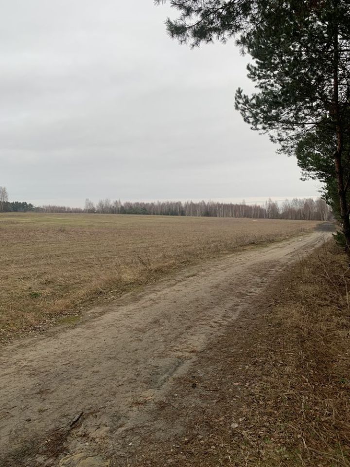 Działka inwestycyjna Zdziechów. Zdjęcie 7