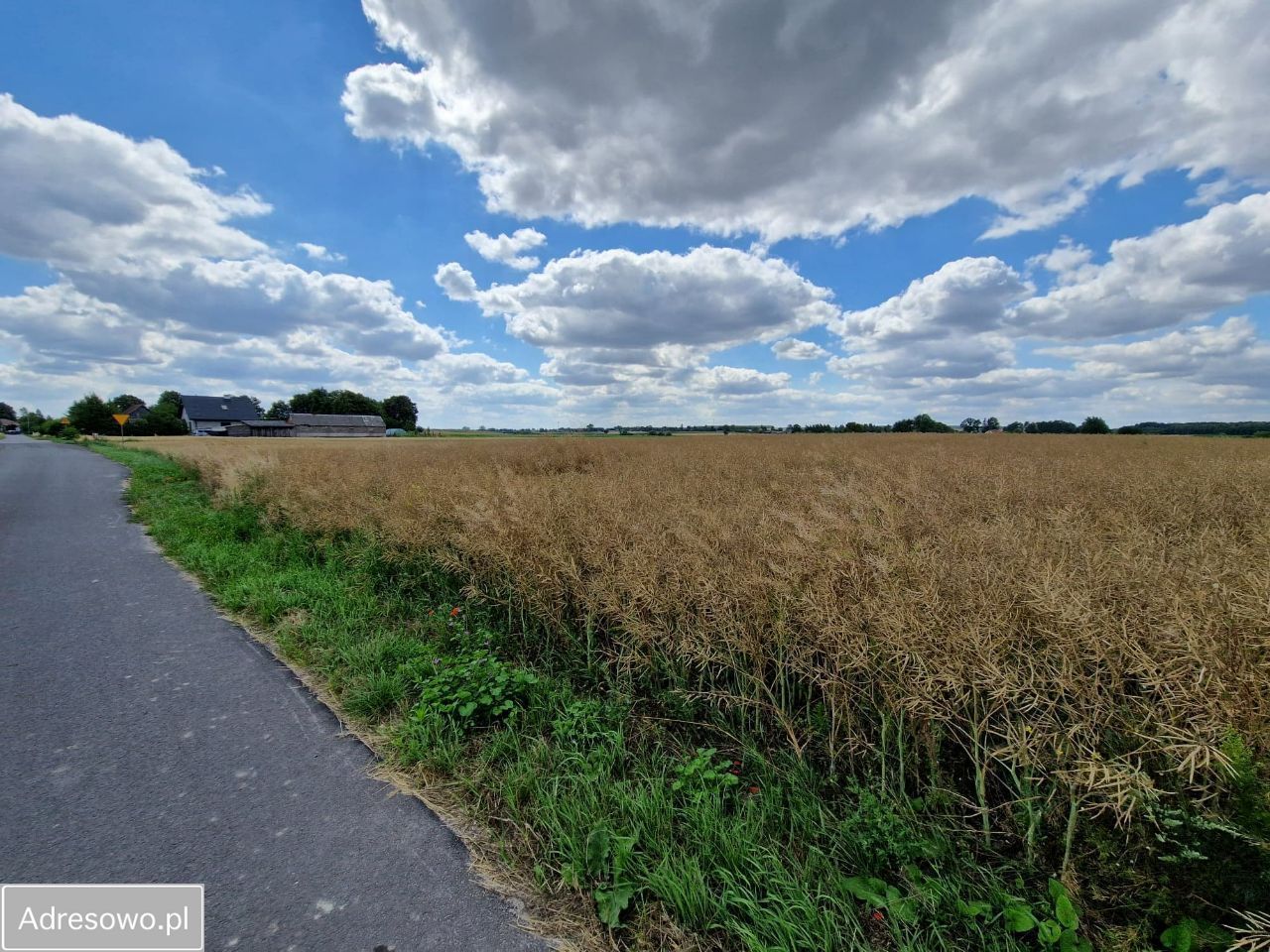 Działka budowlana Wołkowiany. Zdjęcie 6