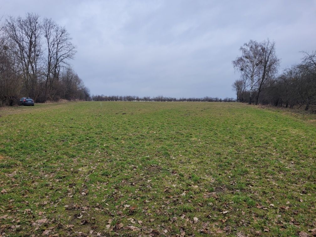 Działka rolna Markowola-Kolonia. Zdjęcie 6