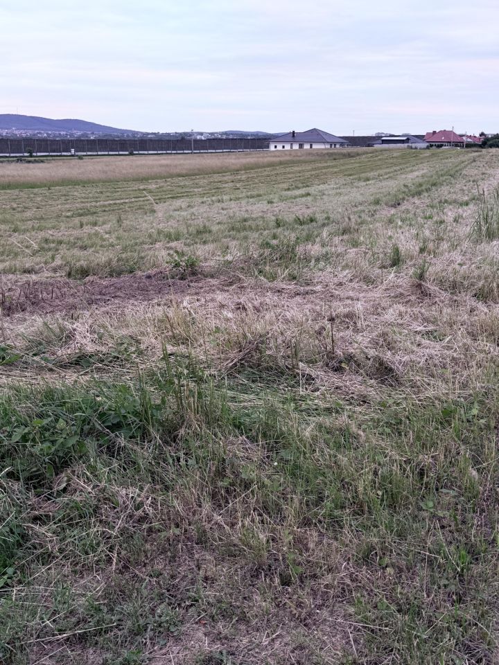 Działka budowlana Domaszowice, ul. Kwiatów Polnych. Zdjęcie 2