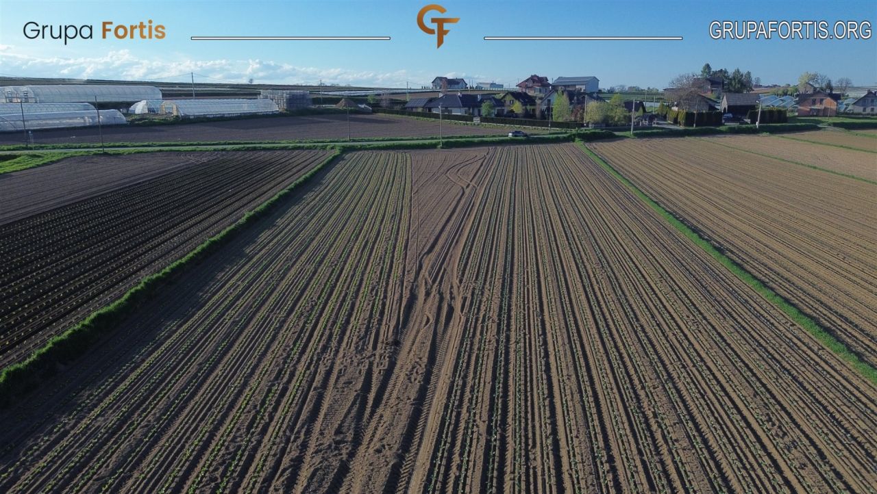 Działka rolna Tropiszów. Zdjęcie 5