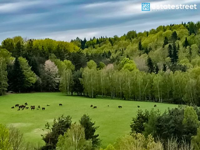 Działka budowlana Bereżnica Wyżna. Zdjęcie 2