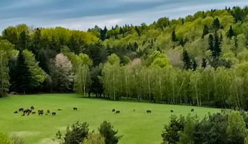 Działka budowlana Bereżnica Wyżna