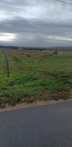 Działka budowlana Smulska. Zdjęcie 1