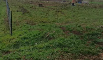 Działka na sprzedaż bez pośredników 
 
 Grodziec - Widok 5