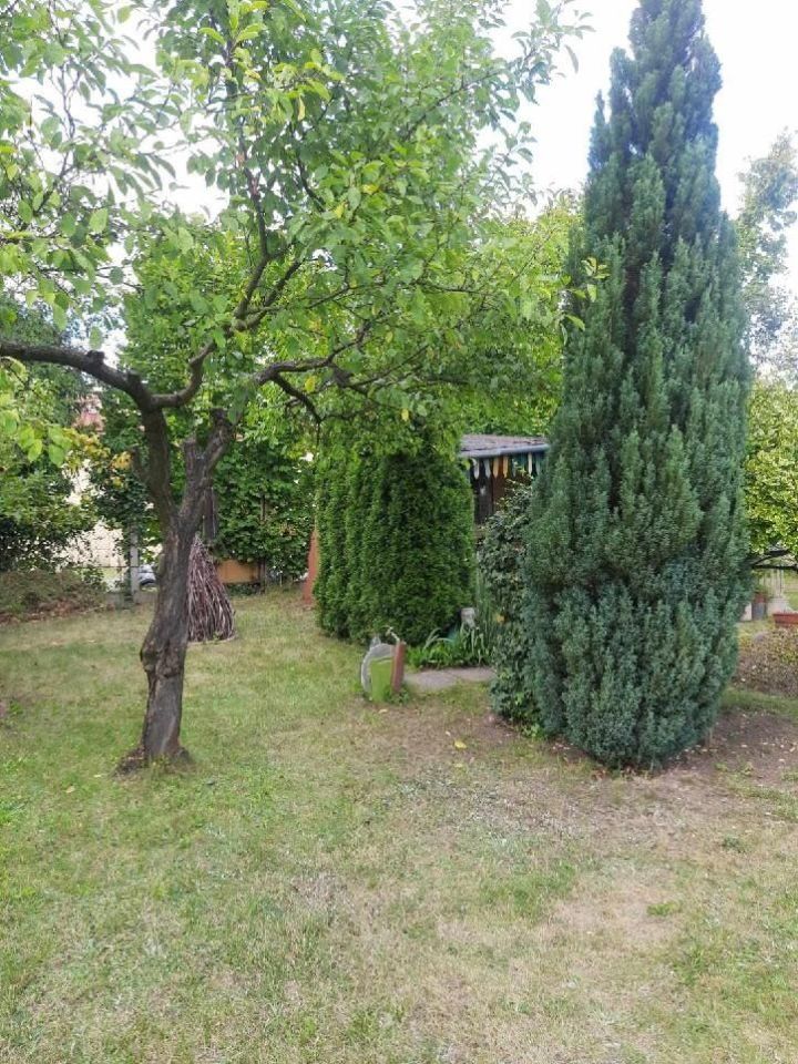 Działka rod Radom, ul. Wolanowska. Zdjęcie 5