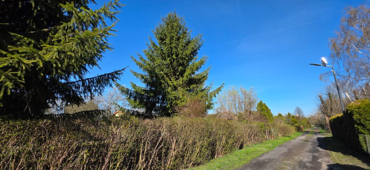 Działka rekreacyjna Lisi Ogon. Zdjęcie 3