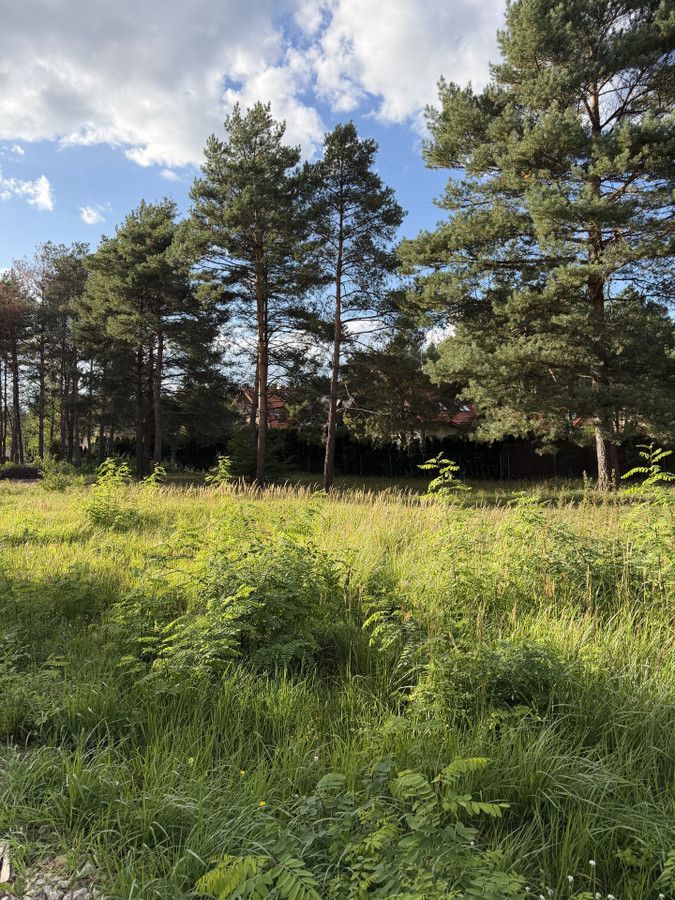 Działka budowlana Kałuszyn, ul. Szkolna. Zdjęcie 5