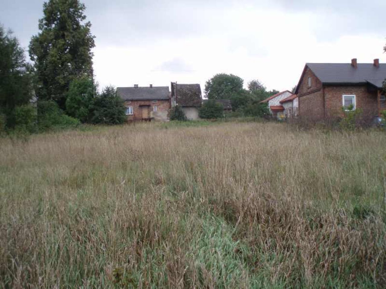 Działka rolno-budowlana Rokitno Szlacheckie Laskowa, ul. Tadeusza Kościuszki. Zdjęcie 3