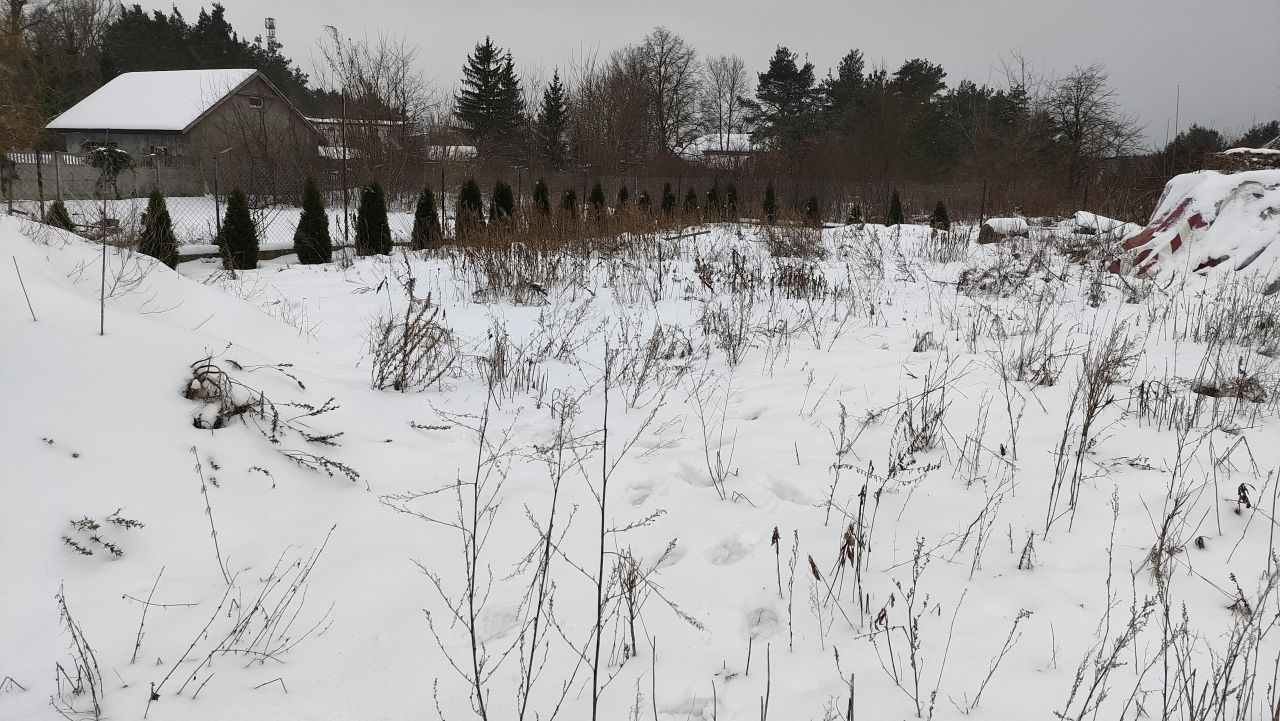 Działka budowlana Okuniew, ul. Karowa. Zdjęcie 2