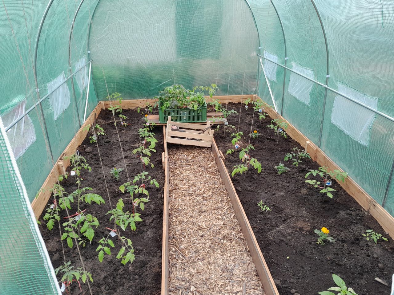 Działka rod Toruń Bydgoskie Przedmieście, ul. Stanisława Przybyszewskiego. Zdjęcie 7