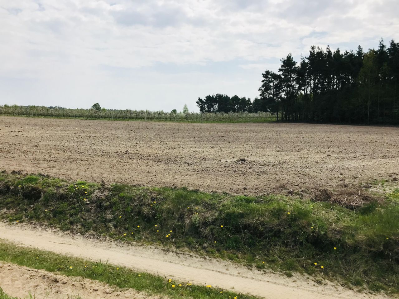 Działka rolna Rudka. Zdjęcie 5