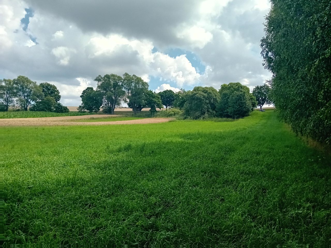 Działka rolna Strzygi. Zdjęcie 8