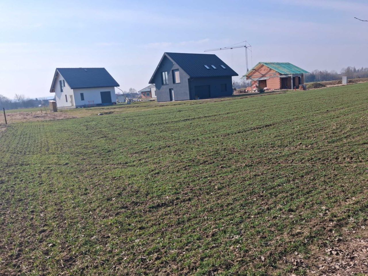 Działka rolno-budowlana Siedlec. Zdjęcie 7