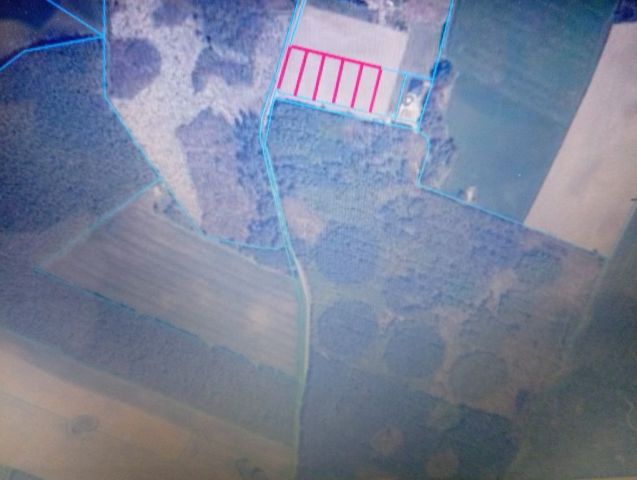 Działka rolno-budowlana Płachty. Zdjęcie 1