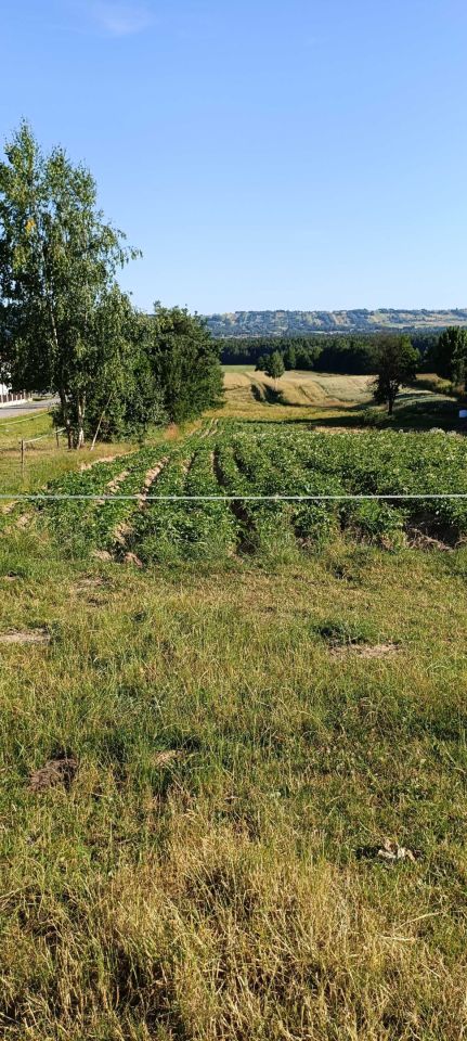 Działka rolno-budowlana Psary-Kąty. Zdjęcie 3