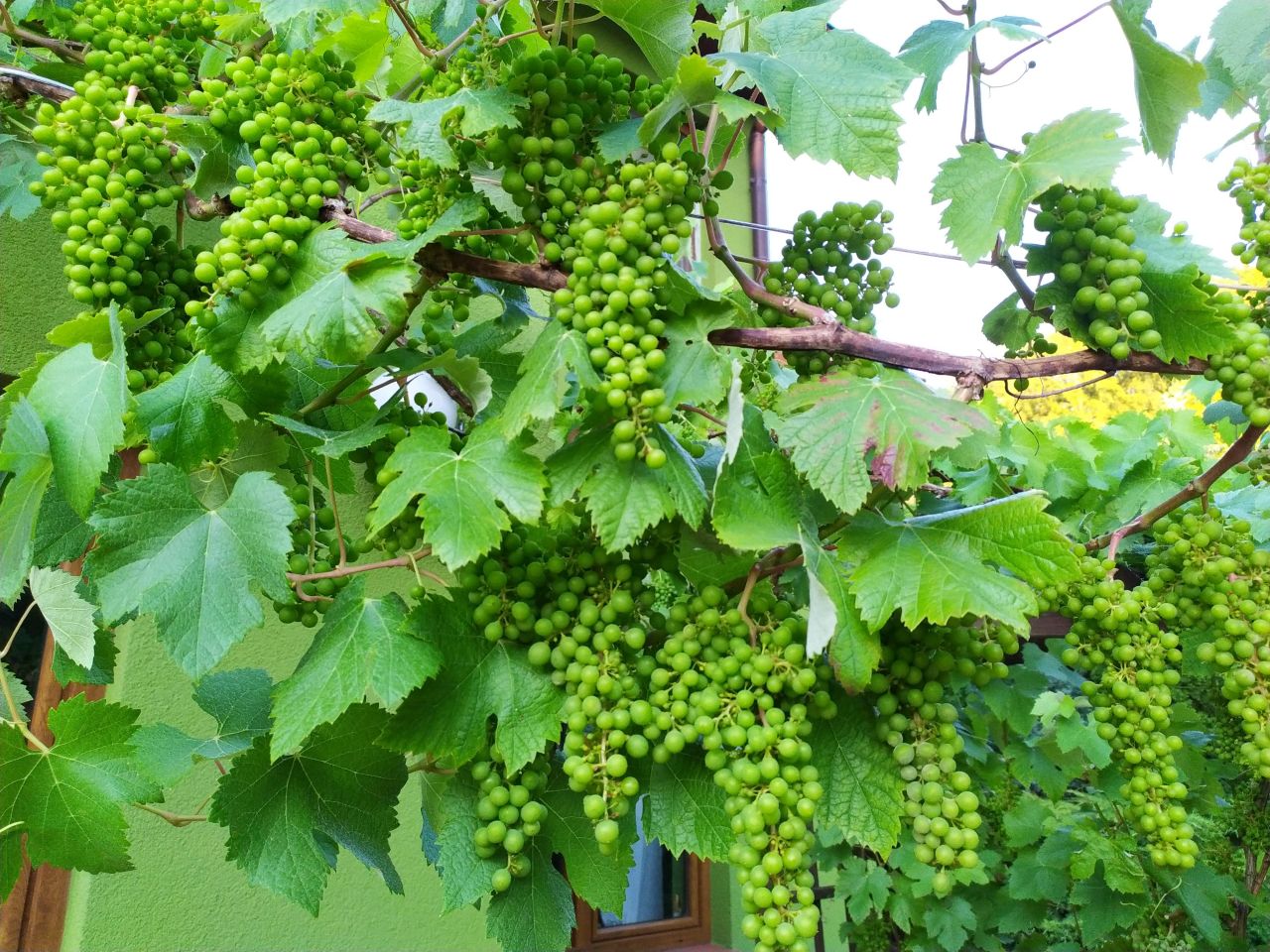 bliźniak, 7 pokoi Szczecin Podjuchy, ul. Cynowa. Zdjęcie 13