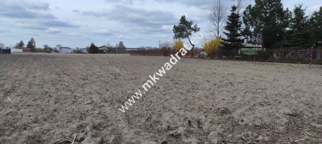 Działka budowlana Święcice. Zdjęcie 3