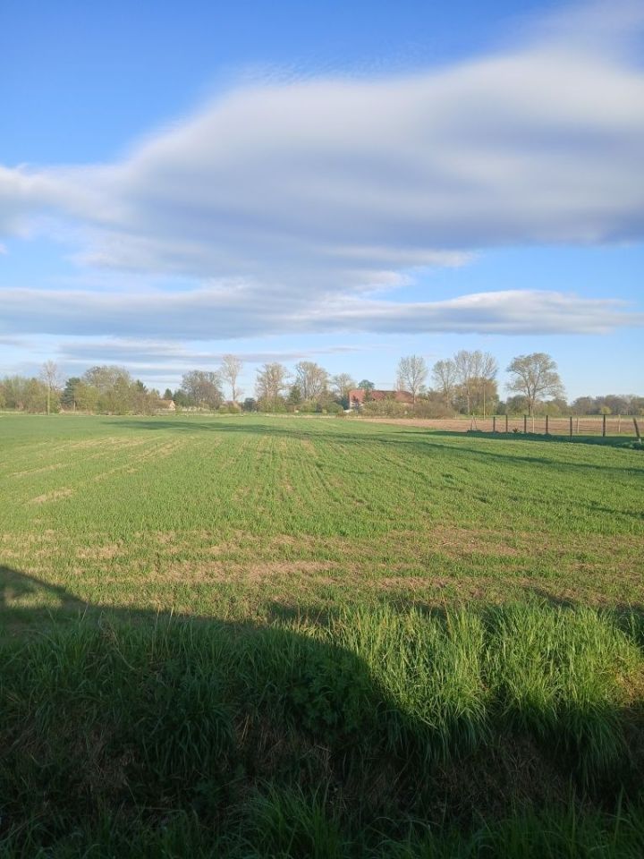 Działka rolno-budowlana Mościsko, ul. Kolejowa. Zdjęcie 1