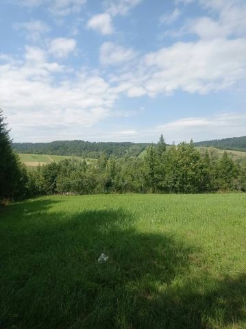 Działka budowlana Bukowiec. Zdjęcie 6