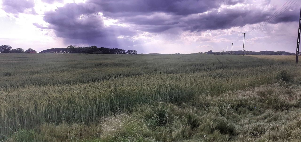 Działka budowlana Grzebienisko. Zdjęcie 2