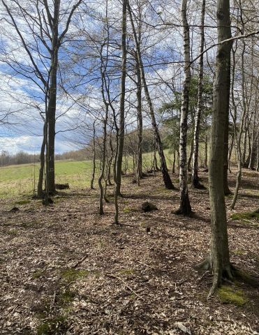 Działka rolna Borowa. Zdjęcie 1